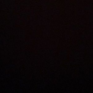 Meet your Posher, Rajon